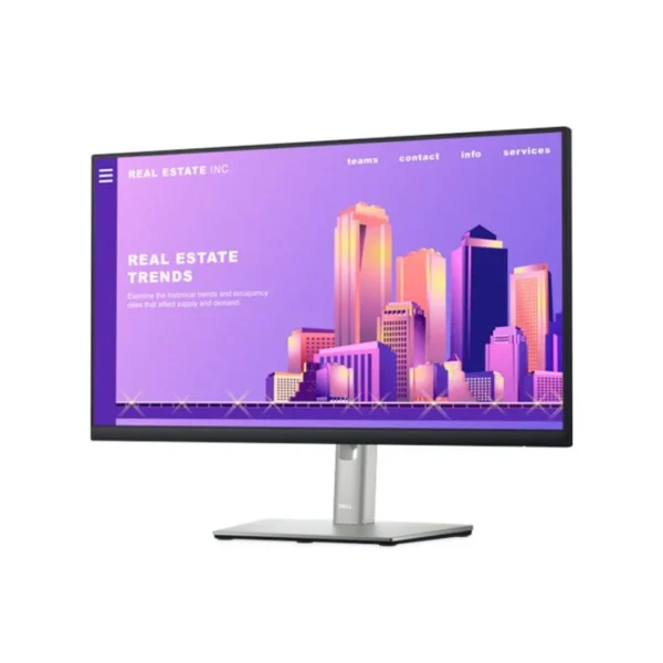 Monitor Dell P2422H [24 Inch FHD IPS / 60Hz]